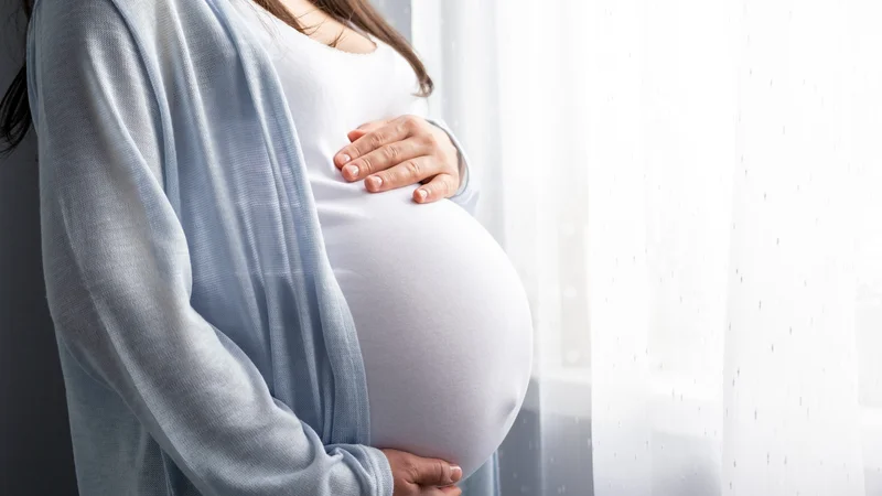 تصویر پزشکی از زن باردار و نمودار ساده دستگاه تناسلی و فلور واژن